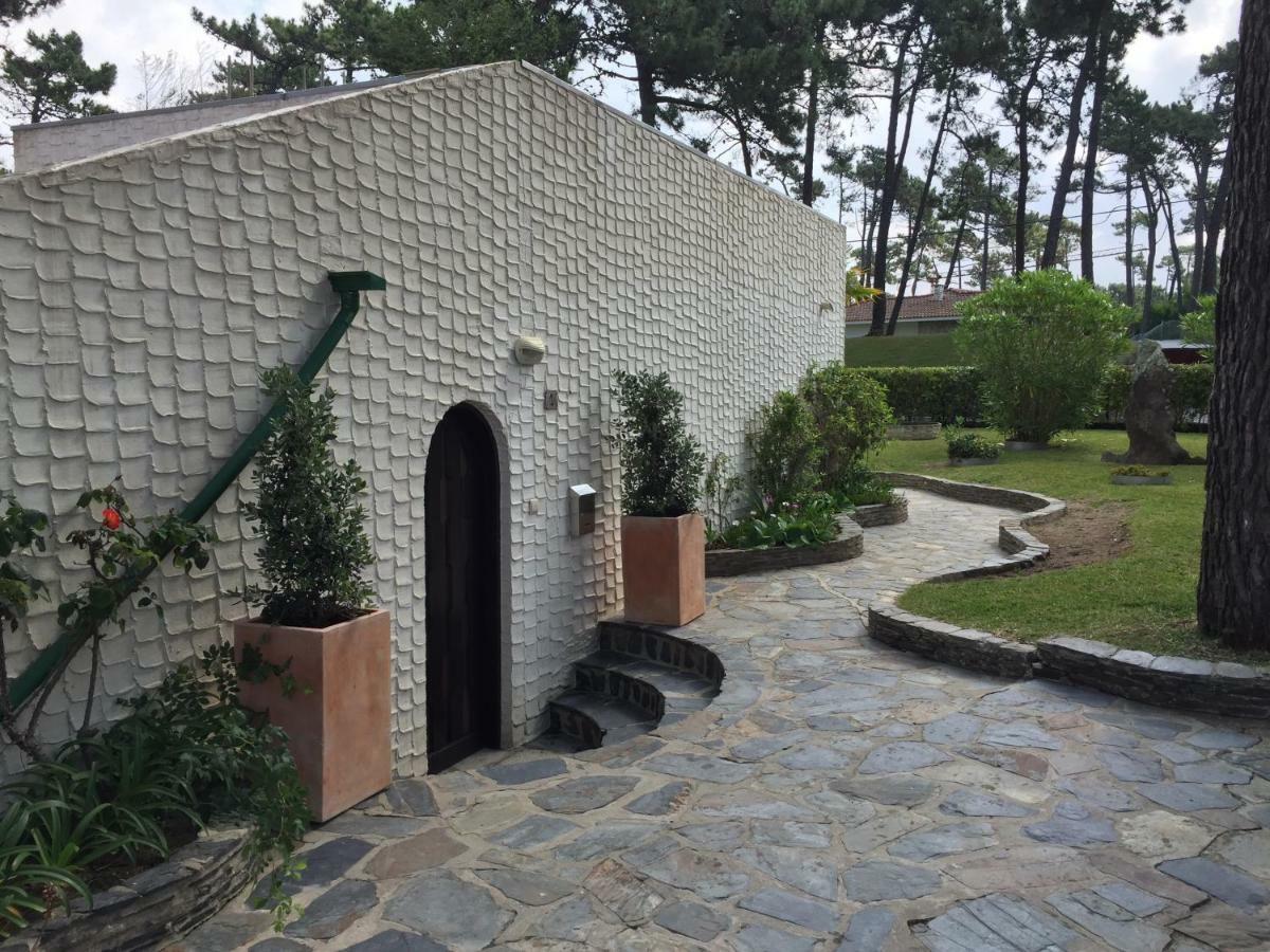 Ofir Beach House Bonanca Esposende Exterior foto